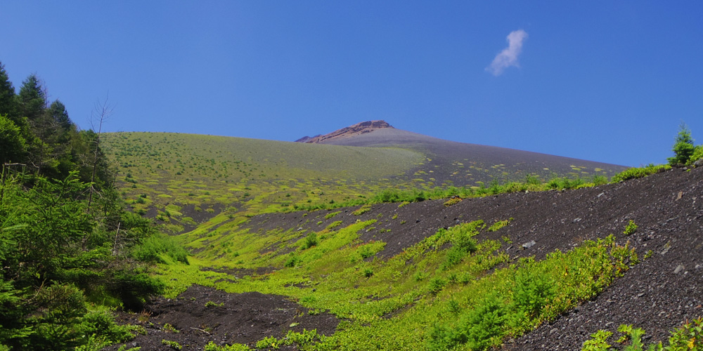 ��i�R�������Ă��܂���