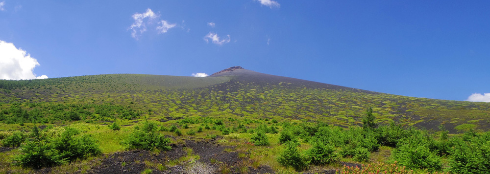 �O�ҕt�߂���̕�i�R