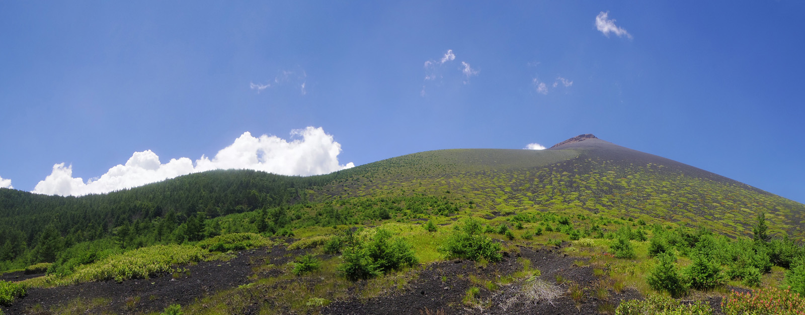 �O�ҕt�߂���̕�i�R�@