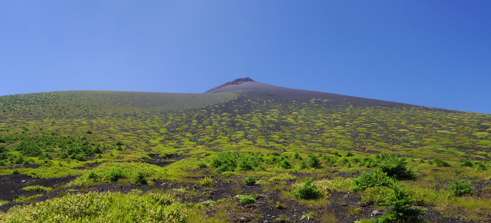 �O�ҕt�߂���̕�i�R