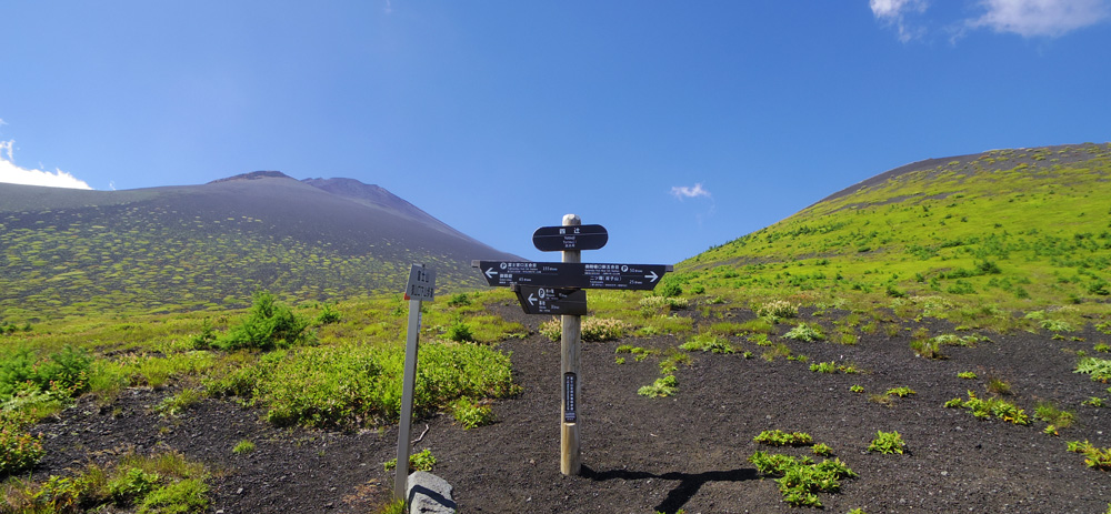 �l��(yotsuji)�̍s����\����