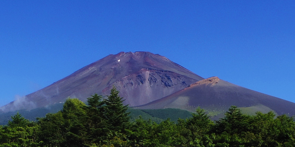 �����ˌ����o�X�₩��̕x�m�R�ƕ�i�R�Ɛ���