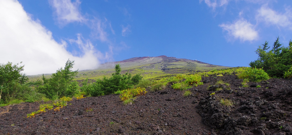 �܍��ځ`�Z���ڂ���̕x�m�R