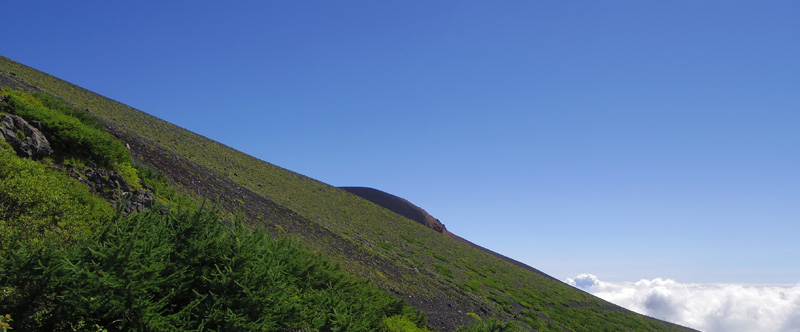 ��i�R�R���̈ꕔ