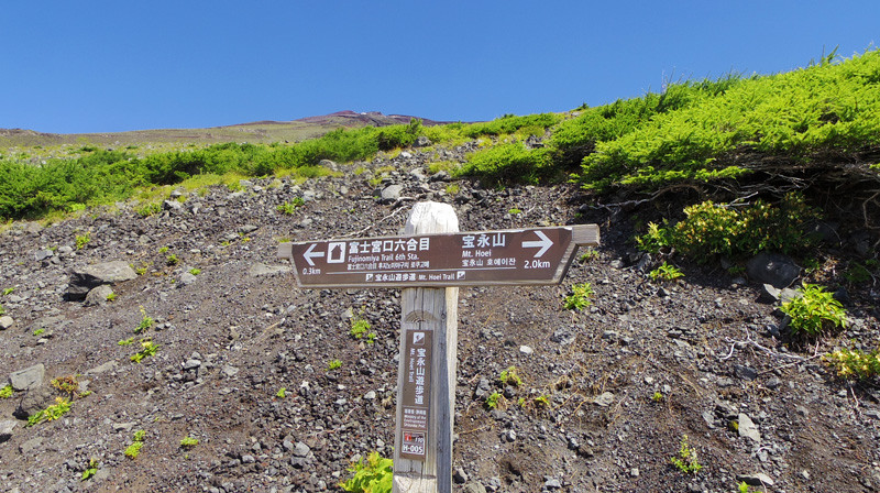 ��i�R�܂�2.0�q�̕\����