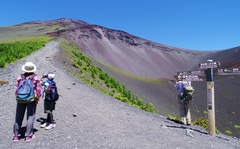 �@�u��i���Ό����v�\������̕�i���Ό��ƕ�i���Ό�