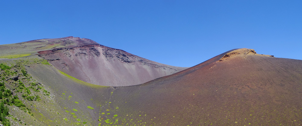 ��i���Ό��͐^��Ɍ����Ă��܂�