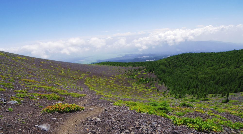 ���̉E���̌E�݂��A��i��O�Ό�