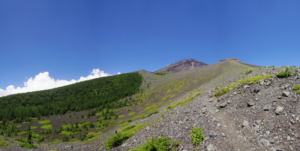 ���������������i�R�ƕx�m�R������܂����B