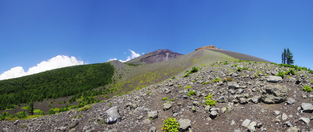 ��a��ォ��̕�i��O�Ό��ƕ�i���Ό��ƕx�m�R