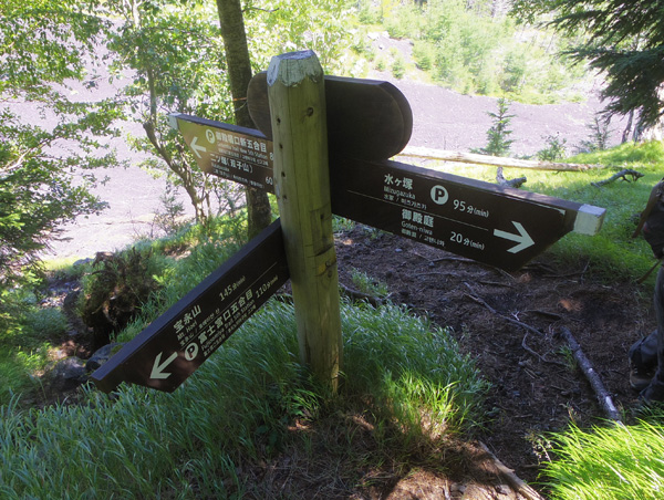 ��a������̕\����