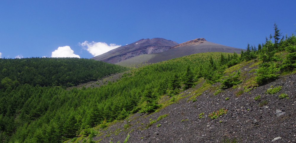 ��a���������O�҂̊Ԃ���̕x�m�R�ƕ�i�R