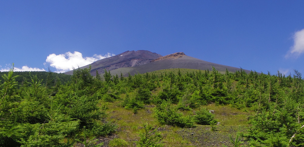 ��a���������O�҂̊Ԃ���̕x�m�R�ƕ�i�R