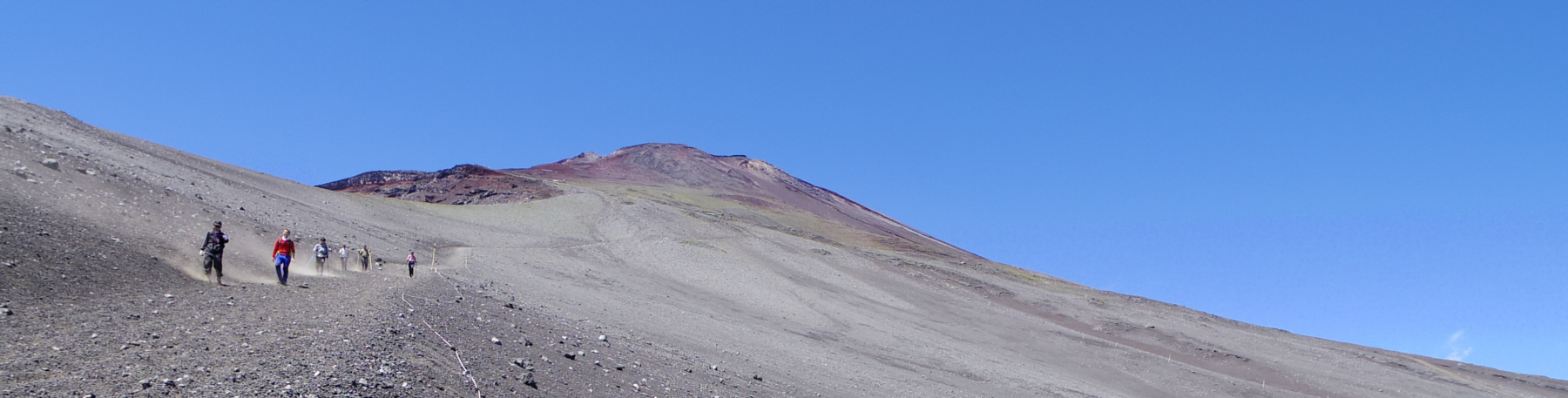 �x�m�R�Ƒ卻����