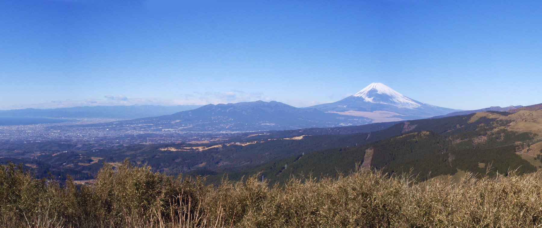 �\��������̕x�m�R�@