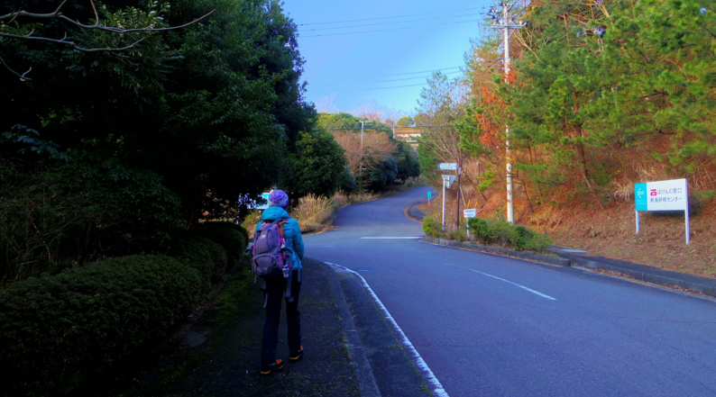 岩戸山登り口へ進みます