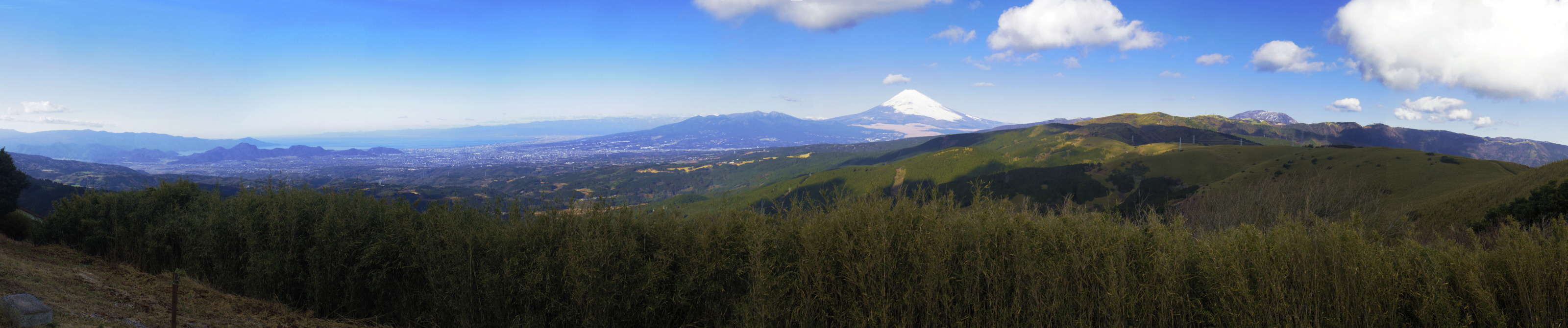 �\��������̕x�m�R�������W�]