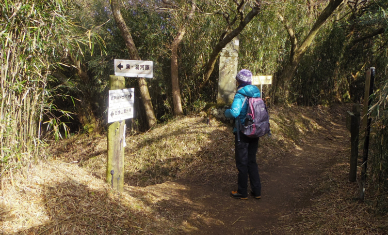 湯河原分岐