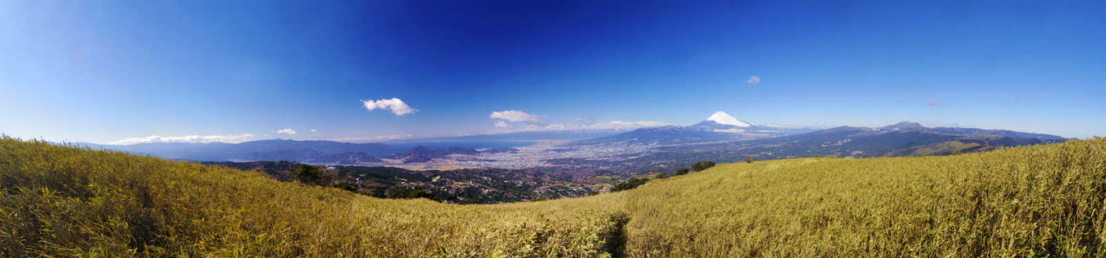 ���x����̕x�m�R�������W�]