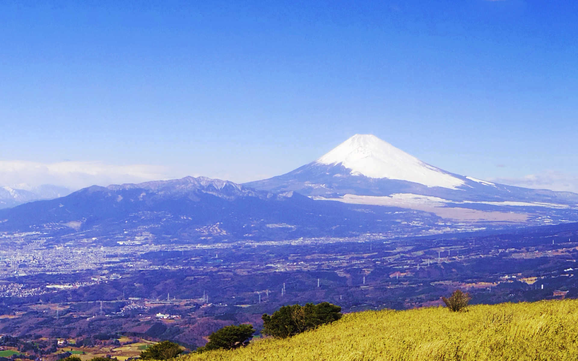 ���x����̕x�m�R�ƈ���R �@�ǎ�