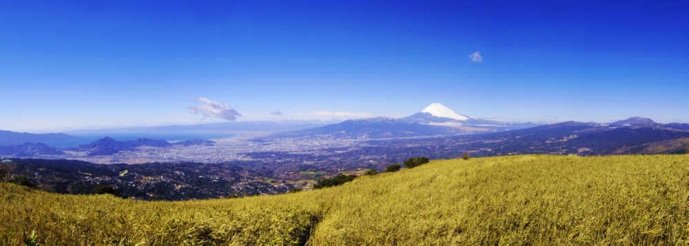 玄岳からの富士山がいる大展望3