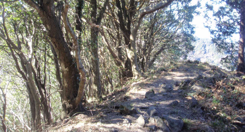 多比口峠へ進みます