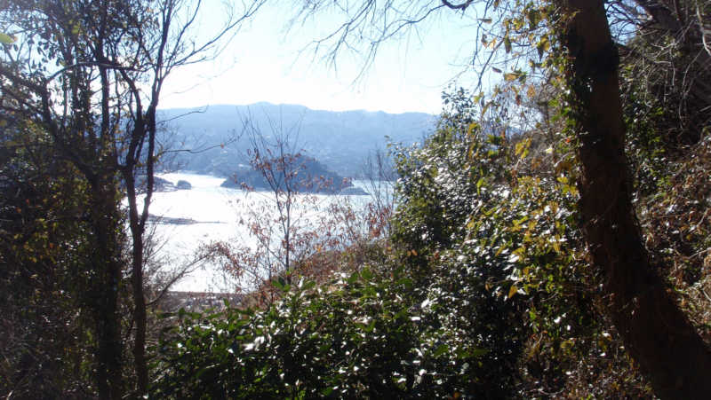 内浦湾の淡島が見えます