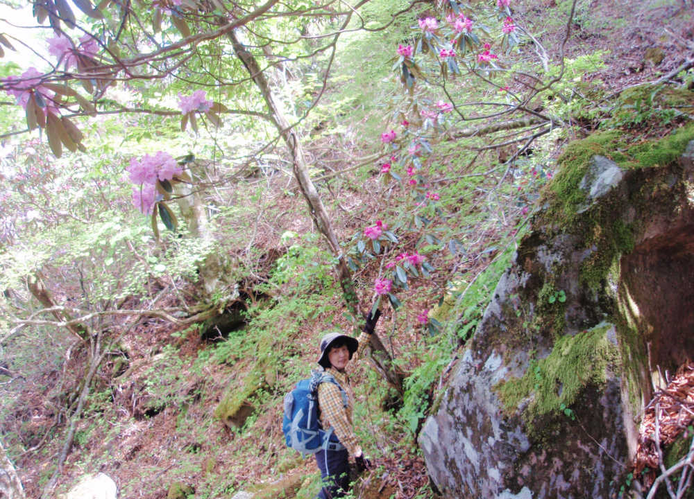 石楠花を眺める