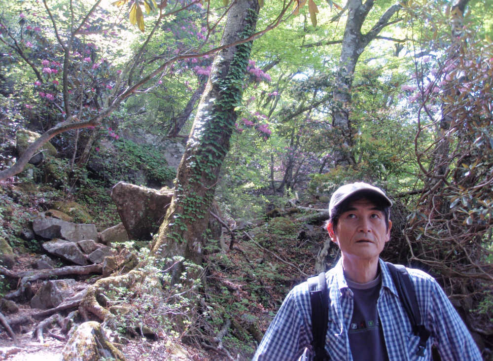 上目で石楠花を眺める