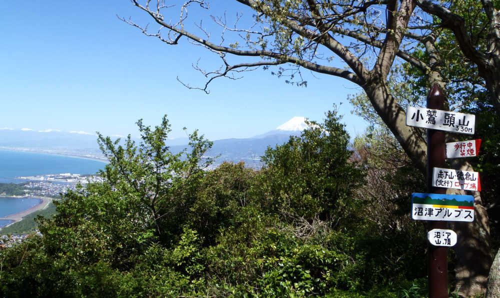 小鷲頭山山頂からの富士山