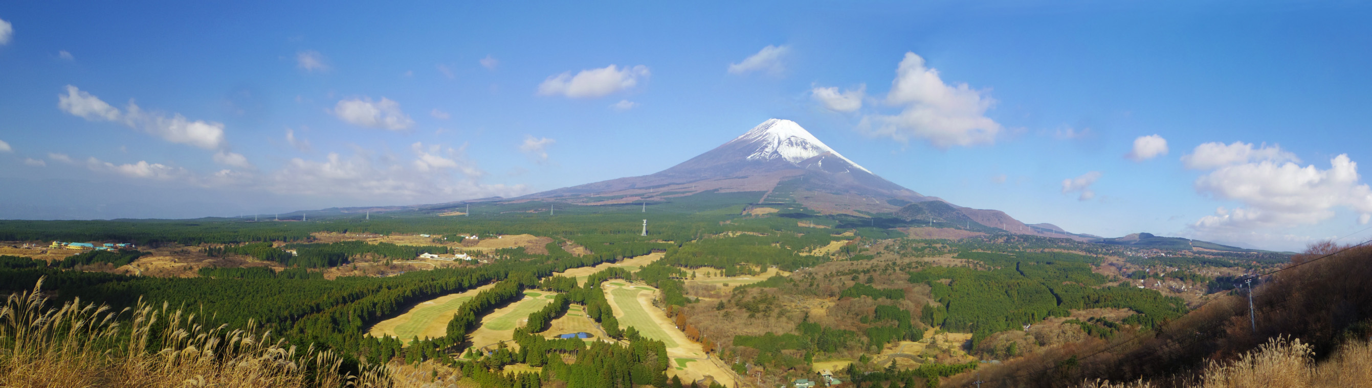 �\���؍����W�]�䂩��̕x�m�R�������W�]