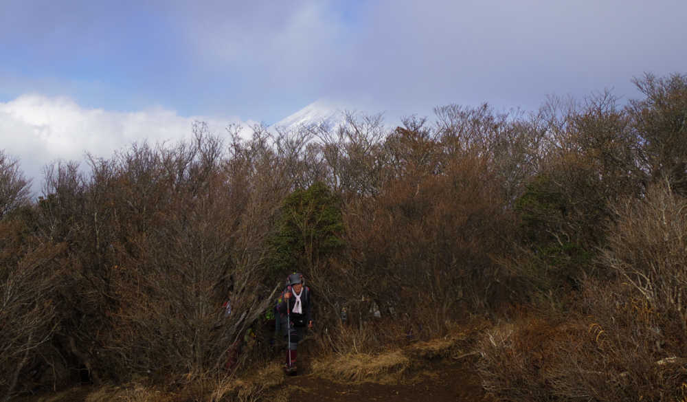 越前岳山頂からの富士山