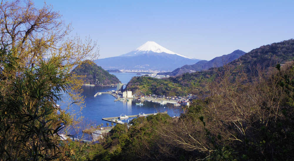 発端丈山見晴台から展望台へ進む途中からの富士山