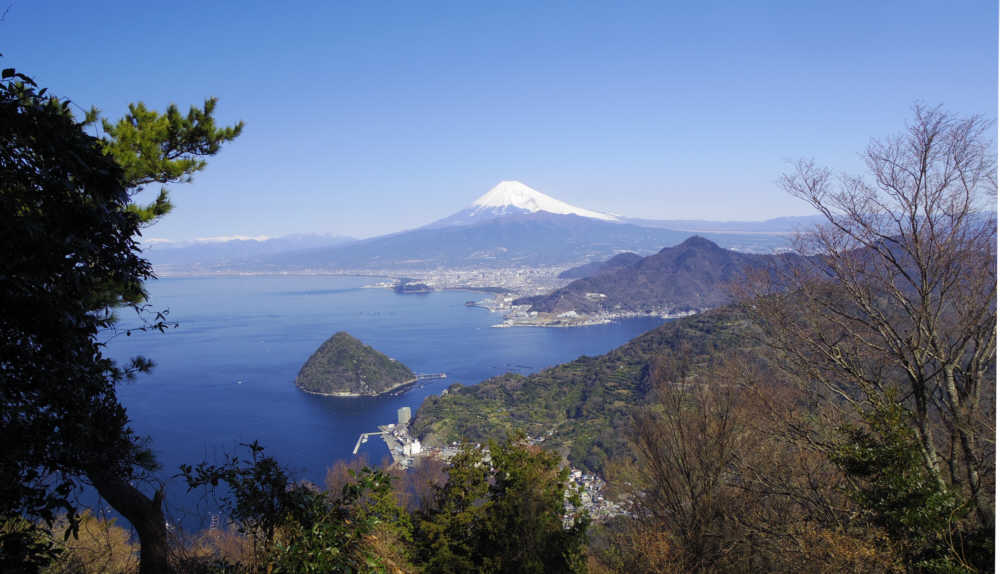 発端丈山展望台からの富士山