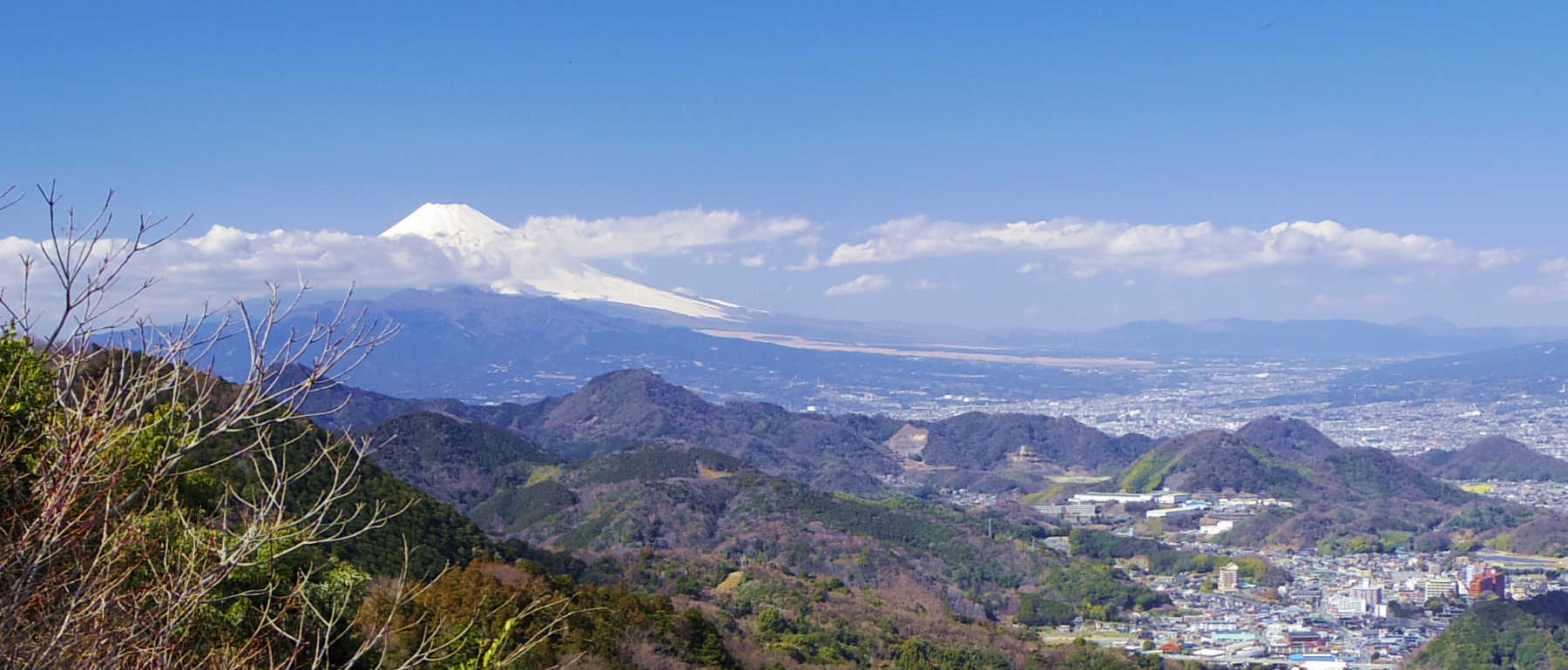 ��R�R������̕x�m�R