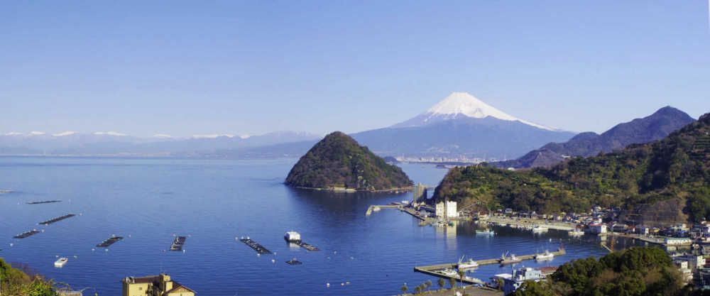 発端丈山見晴台からの富士山と愛鷹山