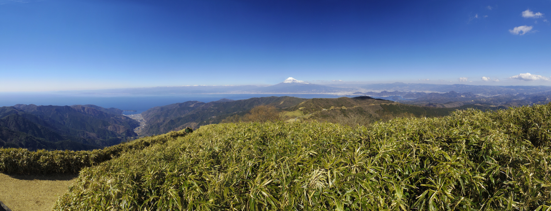 �B���R�R������̕x�m�R�������W�]