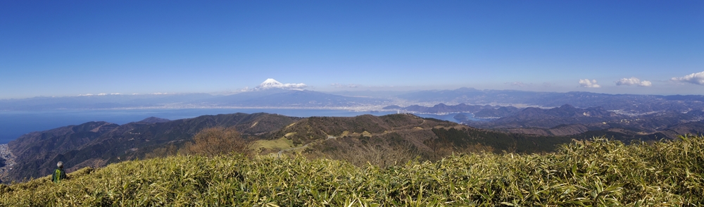 達磨山山頂からの富士山がいる大展望２