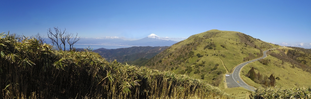 達磨山の左側に富士山