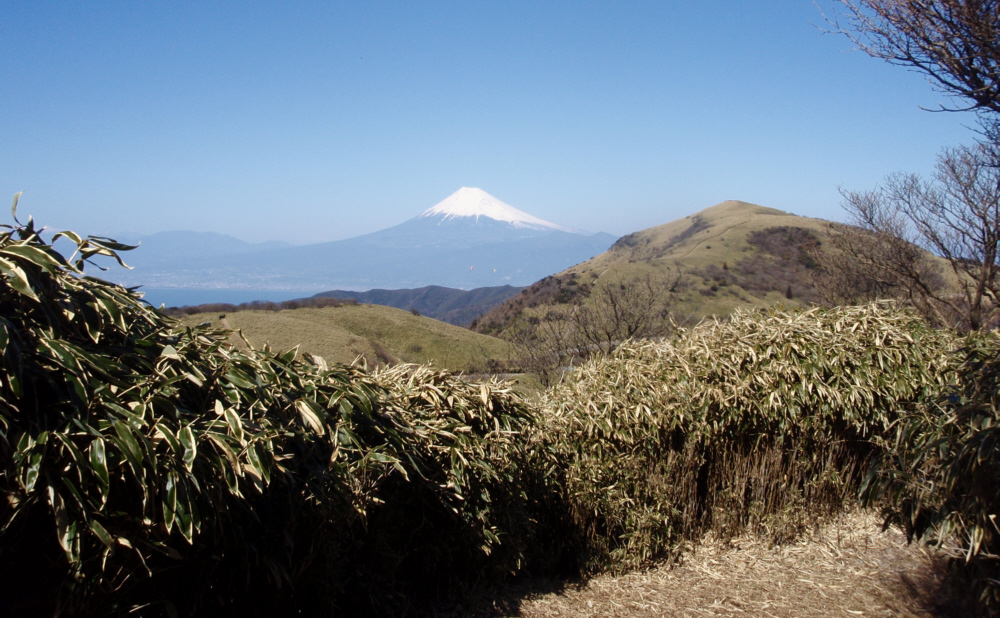 立派な富士山