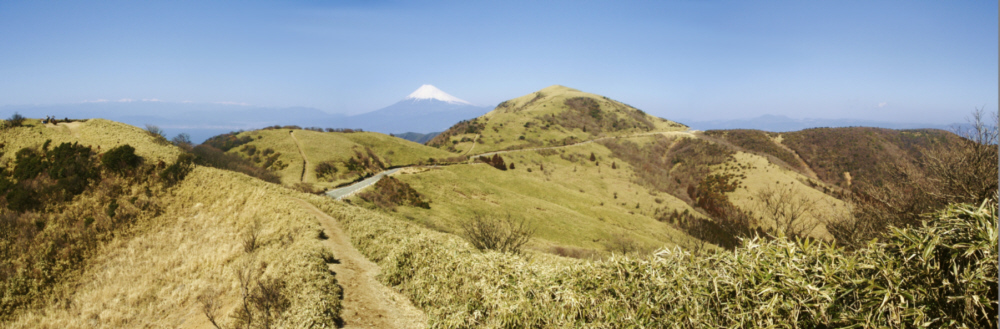 古稀山付近からの達磨山と駿河湾と富士山１