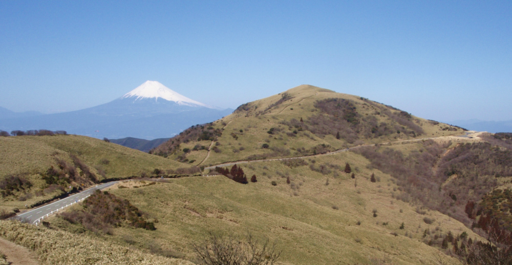 伽藍山から達磨山へ行く途中の古稀山中腹からの富士山