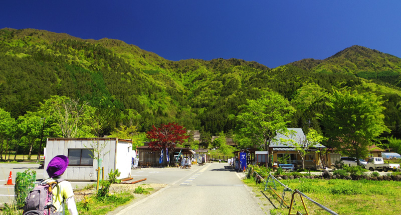 相棒さんを撮影