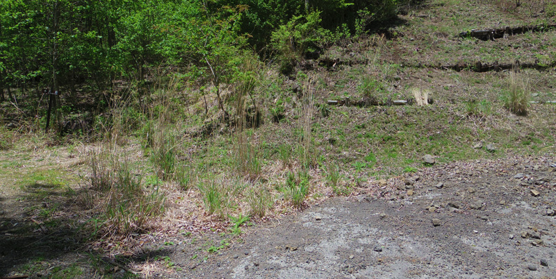 林道から細い道が左側にあり、その先に表示板