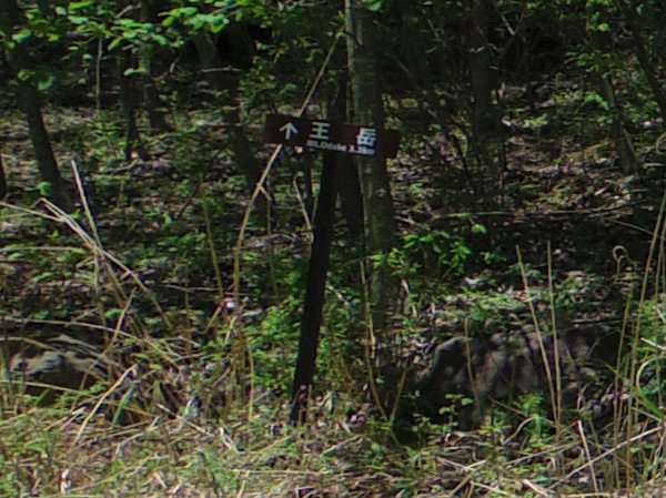 「王岳　Mt.Odake　3.3㎞」の表示板