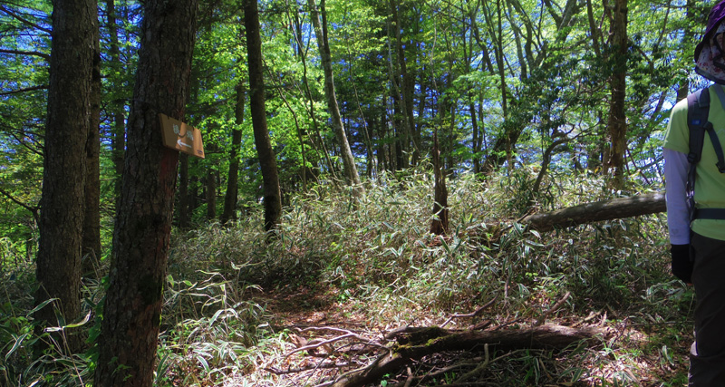 「根場」の表示板