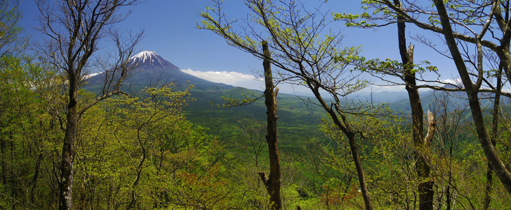 富士山の右側