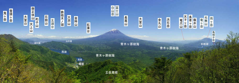 王岳からの富士山の山座同定