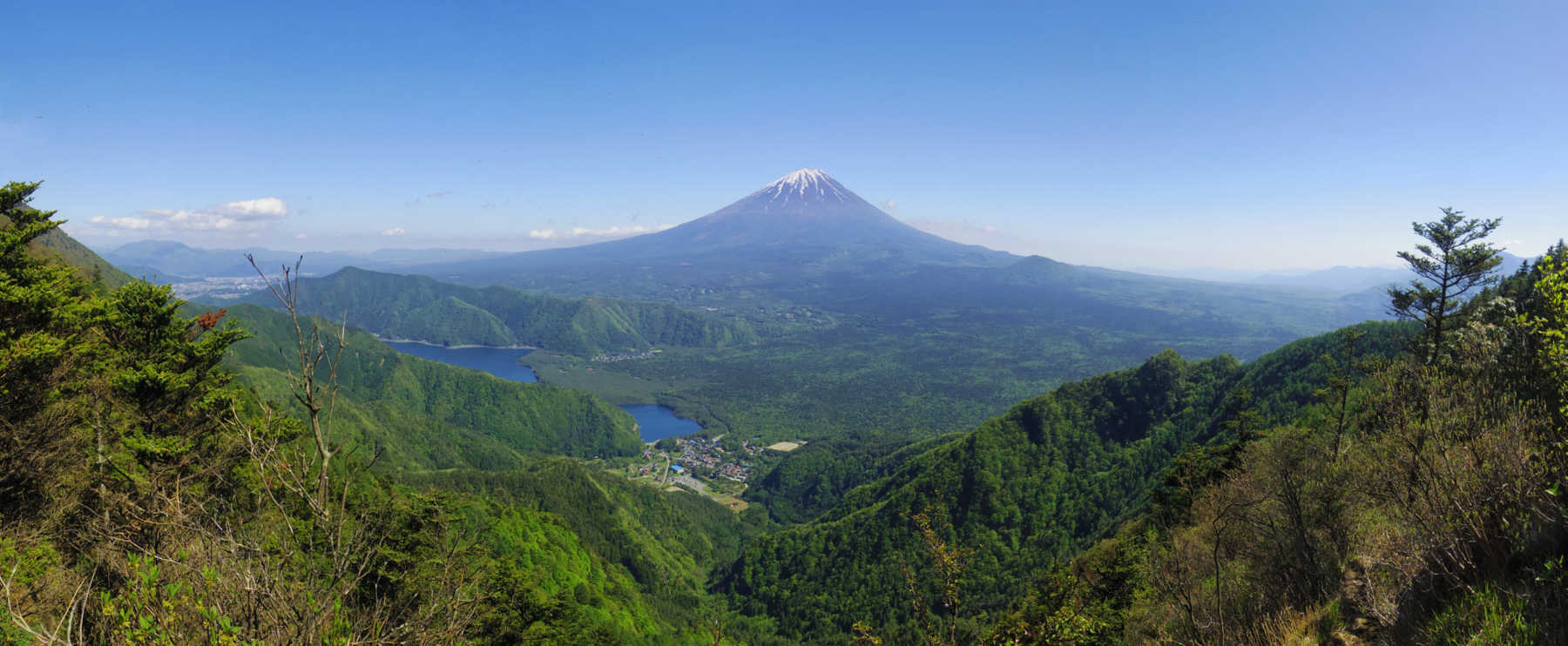 ���x-���|�Ԃ���̕x�m�R