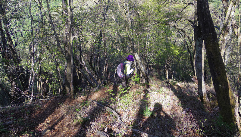 この辺りが鍵掛山頂か